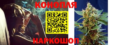 соль ск Будённовск