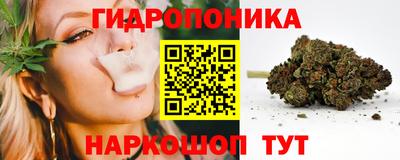 соль ск Будённовск