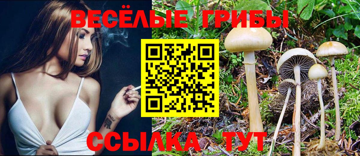 Псилоцибиновые грибы ЛСД Челябинск