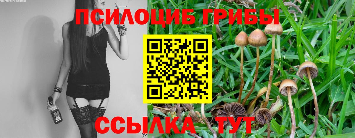 Челябинск  Галлюциногенные грибы MAGIC MUSHROOMS  где продают   Вход с VPN 